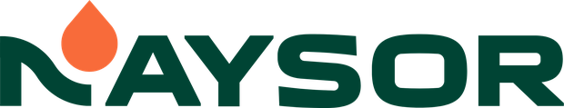 Naysor logo